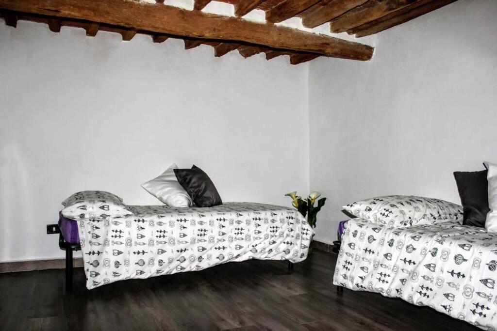 Panoramic And Beautiful House 4Km From The Sea. Villa Rosignano Marittimo Eksteriør bilde